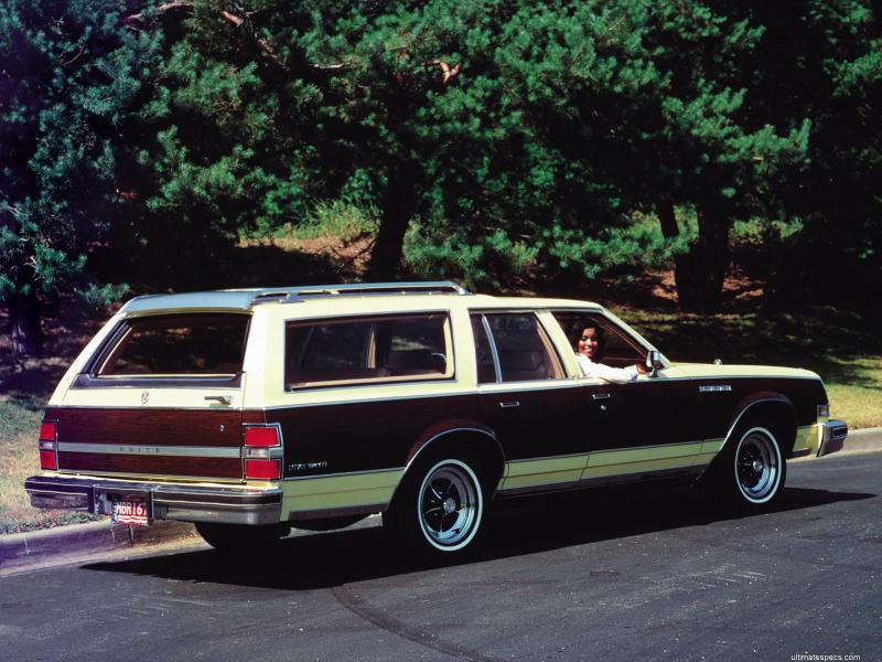 Buick Estate Wagon 1977 image