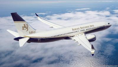 BBJ MAX 8 image