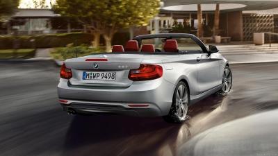 BMW F23 2 Series Cabrio 220d Auto (2014)