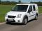 Ford Transit Connect Van 2009 L1H1