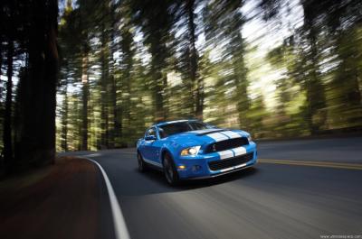 Ford Shelby GT500 Convertible (2010)