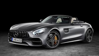 Mercedes Benz AMG GT Roadster  (2016)