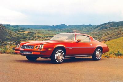 Chevrolet Camaro 2nd-Gen 1978 Berlinetta 5.0L V8 3-speed Automatic (1978)