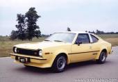 AMC Hornet