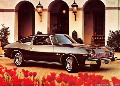 AMC Matador Coupe 1974 258 Brougham Oleg Cassini Package (1974)