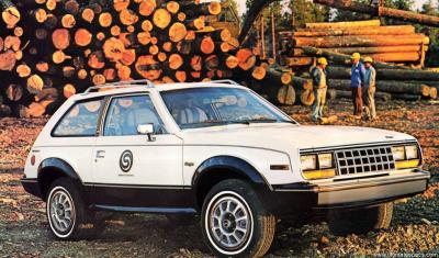 AMC Eagle Kammback  2.5 4-Speed (1980)
