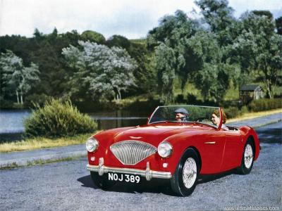 Austin Healey 100 BN1  (1953)