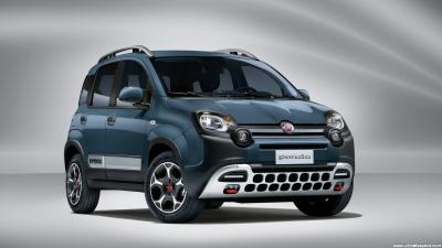 MICR 2 StüCk Auto DachträGer für FIAT Panda Cross 2020 2021 2022