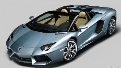 Lamborghini Aventador Roadster LP 700-4 (2013)