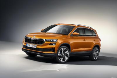 Skoda Karoq 2022 1.5 TSI DSG (2024)