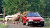 Skoda Pickup Felicia Fun