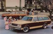 Buick Century Station Wagon 1978
