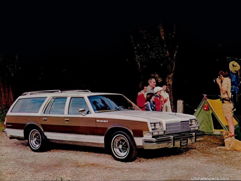 Buick Estate Wagon 1979 image