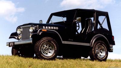 Jeep CJ 5  V8 Technical Specs, Fuel Consumption, Dimensions