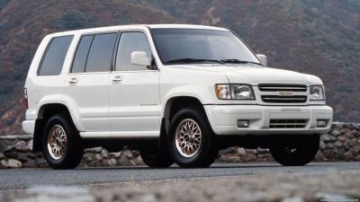 Isuzu Trooper Hình ảnh Sẵn có  Tải xuống Hình ảnh Ngay bây giờ  2 Ban  ngày Bàn tay  Bộ phận cơ thể  iStock