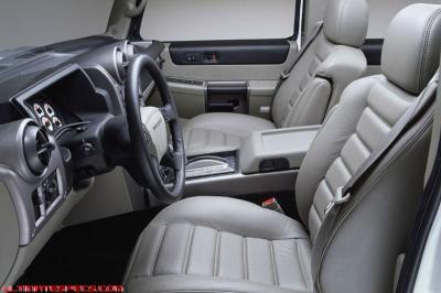 🔥 OEM 2003 - 2007 HUMMER H2 REAR LEFT DRIVER SIDE DOOR PANEL TRIM BLACK |  eBay