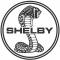 Shelby Galeria de Carros