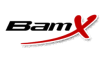 BamX logo