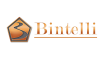 Bintelli logo